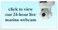 webcam link
